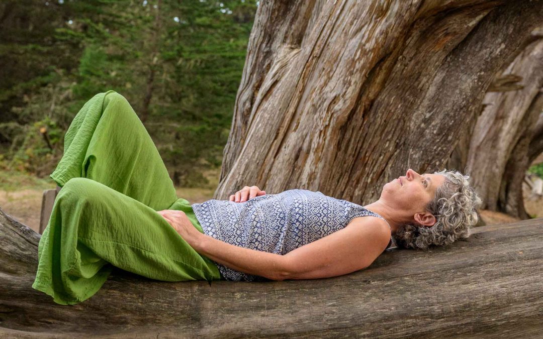 Anytime Anywhere Meditation 6-week Class Series This Fall