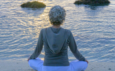 Weekly drop-in Meditation