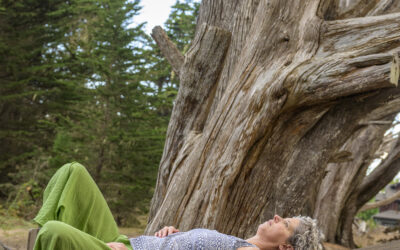 Anytime Anywhere Meditation